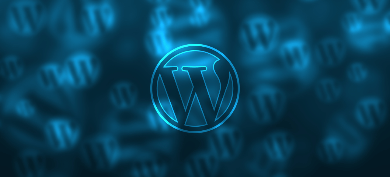wordpress web developers
