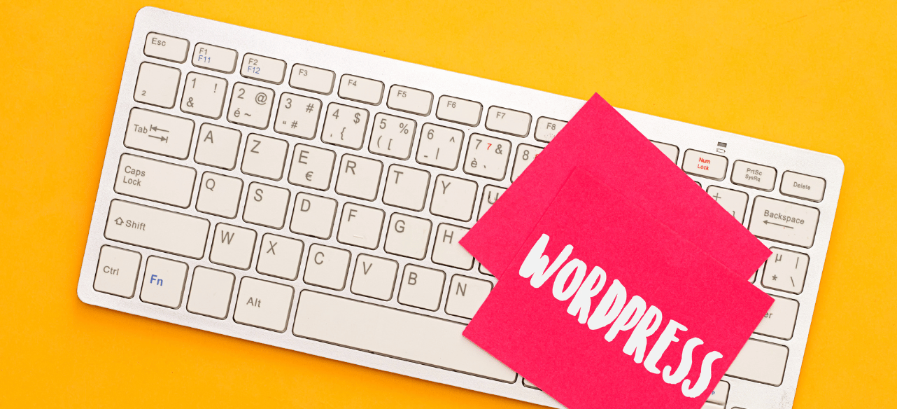 Wordpress support plan