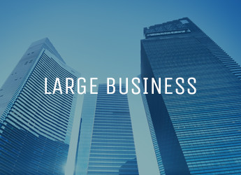 Large Business Website