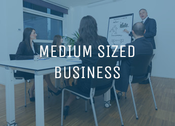 Medium Sized Business Website